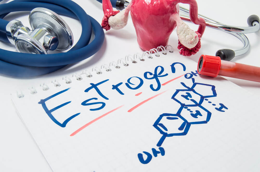 Concept Photo of Female Sex Hormone Estrogen and Its Level in Body
