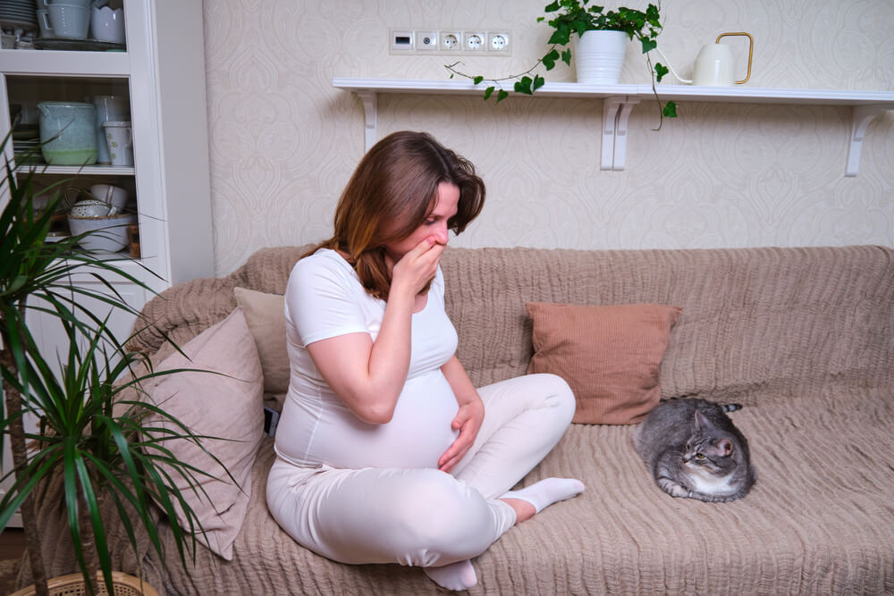 Heartburn And Nausea In A Pregnant Woman On The Couch Stomach Problems During Pregnancy