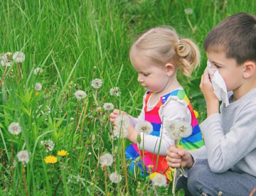 Spring Allergies in Children: What Parents in Wellington Should Know