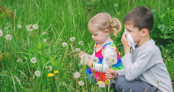 Two children playing in a field of dandelions in spring