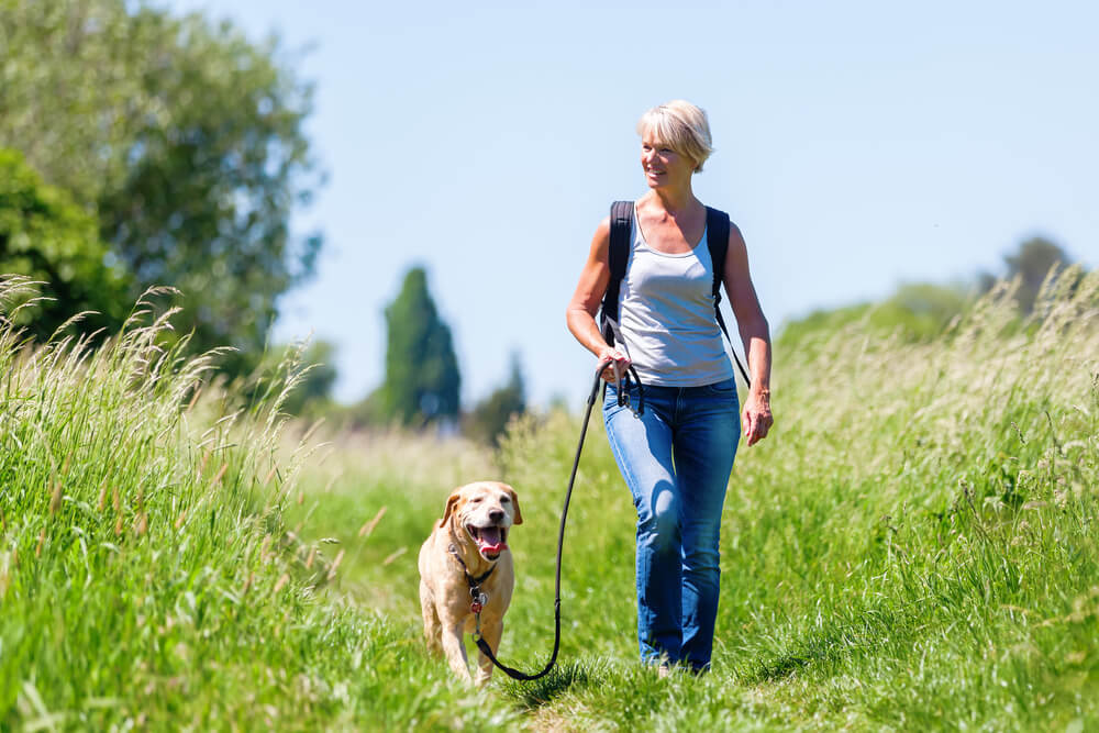 Mature Woman With Rucksack Hiking With a Dog in the Summer Landscape