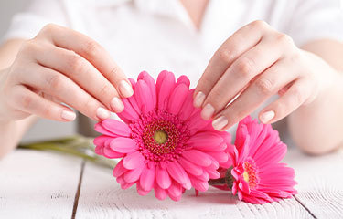 Close-up of hands caressing a pink flower, a symbol of beauty and wellness.