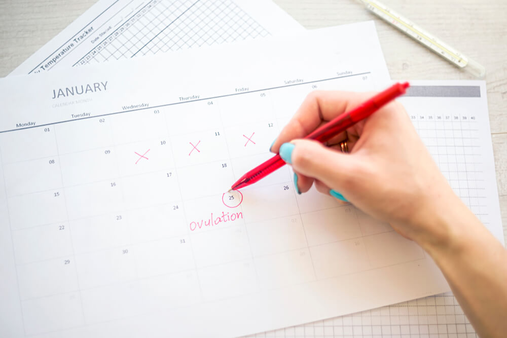Woman Hand Holds Red Highlighter With Temperature Mark on Calendar, Concept of Fertility Chart
