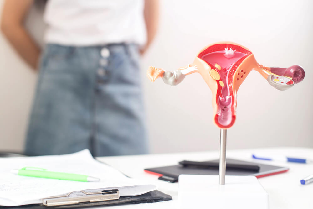 A Model of the Female Reproductive System in the Background Is a Girl in a Doctor S Office With Irregular Periods