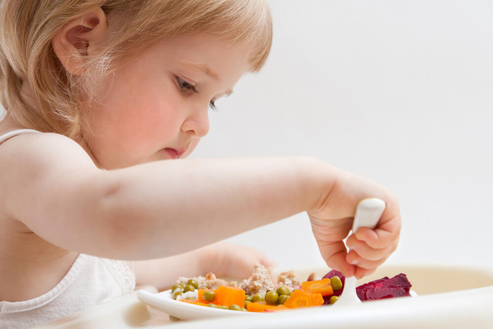 Toddler Eating From a White Plate 2