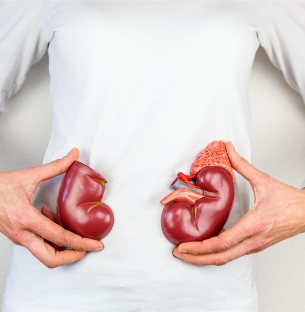 kidney health